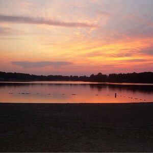 Meet your Posher, Eva